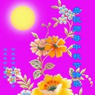 ֹ,ȷ󷨵ӹףʦ(22)