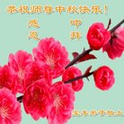 法轮功,河南大法弟子恭祝师尊中秋好(28条)