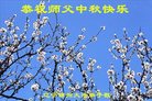 ֹ,ݴ󷨵ӹףʦ(21)