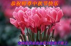 ֹ,ʡ󷨵ӹףʦ(20)