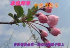 ֹ,ʡ󷨵ӹףʦ(20)