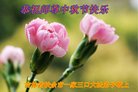 ֹ,ʡ󷨵ӹףʦ(20)
