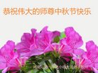 法轮功,河南大法弟子恭祝师尊中秋好(28条)
