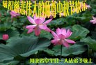 ֹ,󷨵ӹףʦ(31)