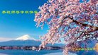 ֹ,㶫󷨵ӹףʦ(20)