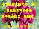 ֹ,ʡ󷨵ӹףʦ(19)