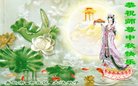 ֹ,ൺ󷨵ӹףʦ(27)