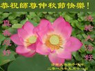 ֹ,ϴ󷨵ӹףʦ(28)