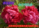 ֹ,ʡ󷨵ӹףʦ(21)