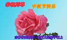 ֹ,ʡ󷨵ӹףʦ(21)