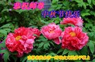 ֹ,ʡ󷨵ӹףʦ(21)