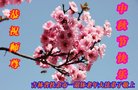ֹ,ʡ󷨵ӹףʦ(21)