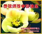 ֹ,ϴ󷨵ӹףʦ(20)