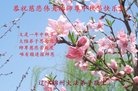 ֹ,ݴ󷨵ӹףʦ(21)