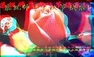 ֹ,ϴ󷨵ӹףʦ(21)