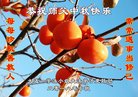 ֹ,󷨵ӹףʦ(22)