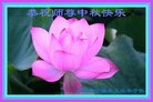 ֹ,󷨵ӹףʦ(23)