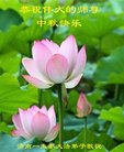 ֹ,ϴ󷨵ӹףʦ(20)