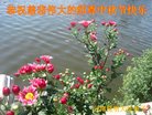 ֹ,ϴ󷨵ӹףʦ(19)
