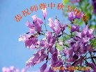 法轮功,云南大法弟子恭祝师尊中秋好(19条)