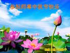 ֹ,ϴ󷨵ӹףʦ(19)