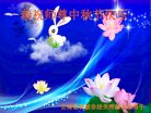 ֹ,ϴ󷨵ӹףʦ(19)