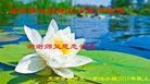 ֹ,󷨵ӹףʦ(20)