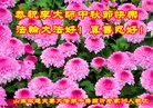 ֹ,ʴ󷨵ӹףʦ(25)
