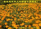 ֹ,󷨵ӹףʦ(18)