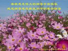 ֹ,󷨵ӹףʦ(18)