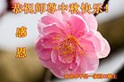 ֹ,ӱ󷨵ӹףʦ(19)