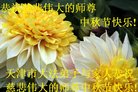 ֹ,󷨵ӹףʦ(19)