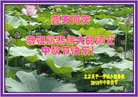 ֹ,󷨵ӹףʦ(22)