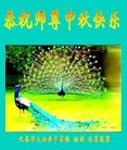 ֹ,󷨵ӹףʦ(18)