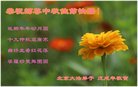 ֹ,󷨵ӹףʦ(22)