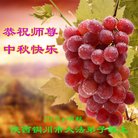 法轮功,陕西大法弟子恭祝师尊中秋好(19条)