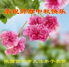 法轮功,西安大法弟子恭祝师尊中秋好(19条)
