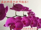 ֹ,ʡ󷨵ӹףʦ(20)
