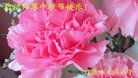 ֹ,ʡ󷨵ӹףʦ(20)