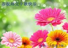ֹ,մ󷨵ӹףʦ(20)
