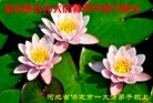 ֹ,󷨵ӹףʦ(20)