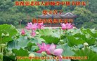 ֹ,󷨵ӹףʦ(19)