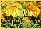 ֹ,ӱ󷨵ӹףʦ(21)