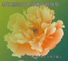 ֹ,󷨵ӹףʦ(19)