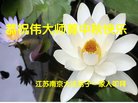 ֹ,մ󷨵ӹףʦ(21)