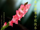 ֹ,ݴ󷨵ӹףʦ(22)