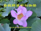 ֹ,ӱ󷨵ӹףʦ(20)
