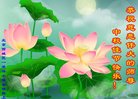 ֹ,󷨵ӹףʦ(19)