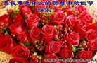 ֹ,󷨵ӹףʦ(19)