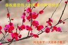 ֹ,ӱ󷨵ӹףʦ(19)